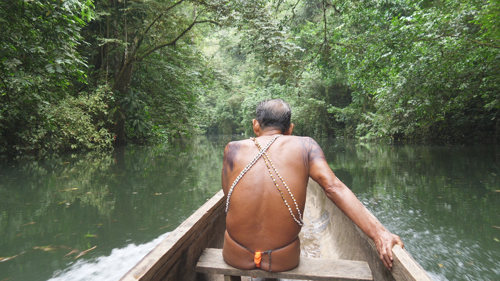 Amazonas projekt